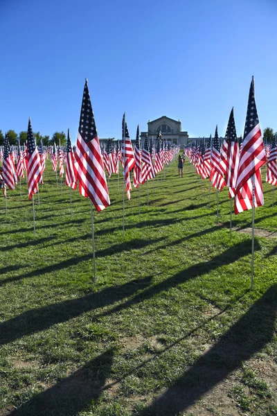 Valor Saint Louis Sanat Müzesi dışında bayrakları