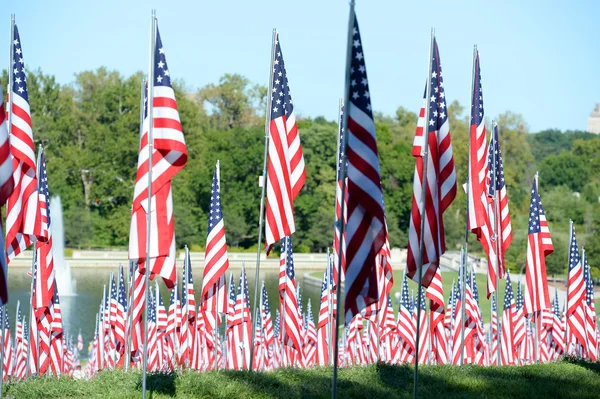 Flags of Valor outside Saint Louis Art Museum — Stock Photo, Image