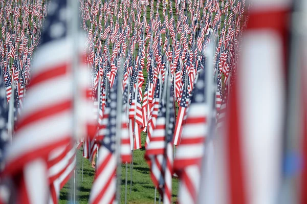 Flag af Valor uden for Saint Louis Art Museum - Stock-foto