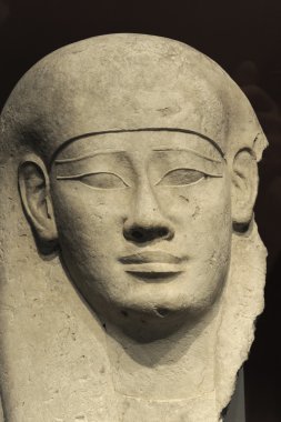 Chicago alan Müzesi'nde Mısır heykeli