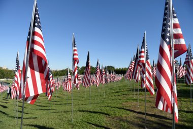 Valor Saint Louis Sanat Müzesi dışında bayrakları