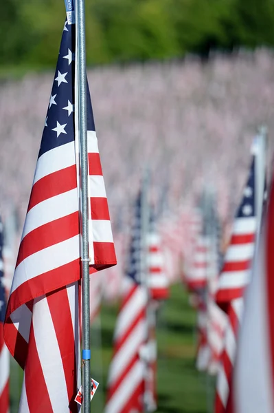 Flags of Valor outside Saint Louis Art Museum — Stock Photo, Image