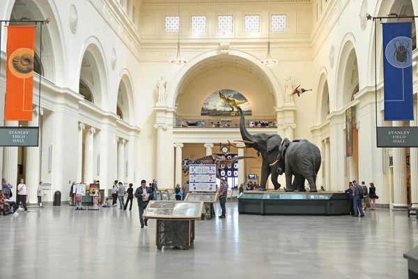 Alanın Doğal Tarih Müzesi Chicago'da - Stok İmaj