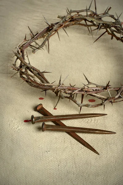 Crown of Thorns and Nails — Stock Photo, Image