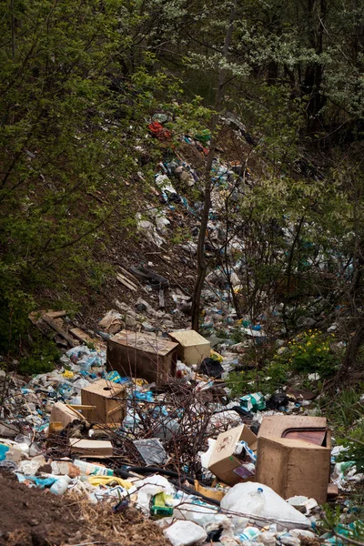 Ormandaki vadide büyük bir çöp yığını var.