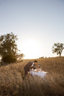  Mutlu damat ve gelin yaz gün batımı çayır üzerinde yürüme