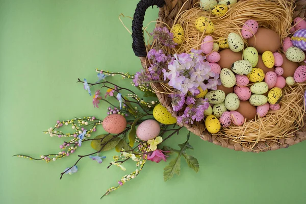 Happy Easter. Congratulatory easter background. Easter eggs and flowers. — Stock Photo, Image