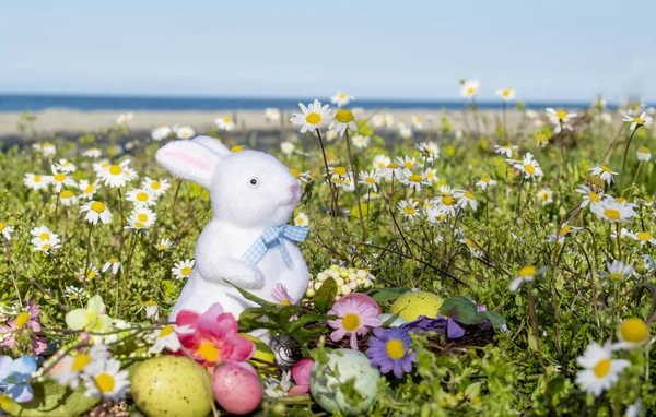 Oeufs de Pâques et fleurs au bord de la mer Images De Stock Libres De Droits