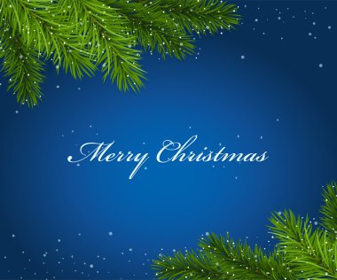 Köknar ağacı dalları ile Noel mavi çatı