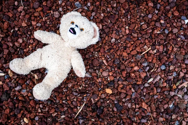 Teddy beer liggend op de vloer, vuil en nat, verlaten door een chi — Stockfoto