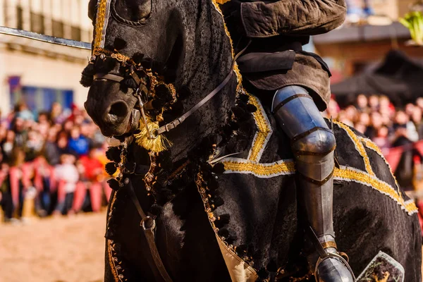 Dettaglio dell'armatura di un cavaliere montato a cavallo durante un di — Foto Stock