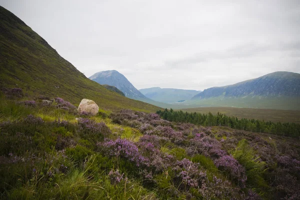 Bergachtige landschappen van de Schotse Hooglanden — Stockfoto