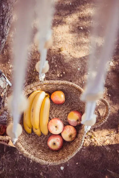 나무에 매달려 과일 바구니, 건강 한 간식 개념. — 스톡 사진