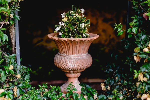 Antigua jarrón de piedra tallada en un jardín europeo con flores . — Foto de Stock