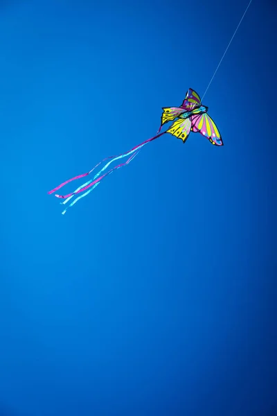Barevný drak s dlouhým ocasem letící na modrém nebi proti — Stock fotografie