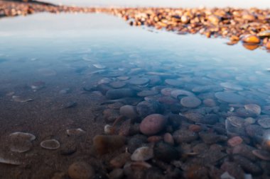 Sahildeki deniz suyu birikintisindeki yansımalar etrafımızı sardı.