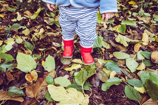 Bebé con botas rojas sobre hojas secas en invierno . — Foto de Stock