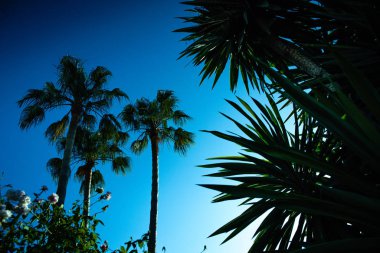 si ile bulutlar olmadan yoğun bir mavi gökyüzü arkadan aydınlatmalı arka plan