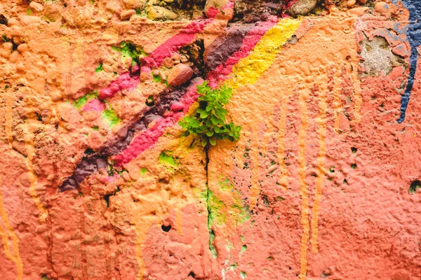 Dettaglio di un graffito anonimo di strada con molti colori, cheerfu — Foto Stock