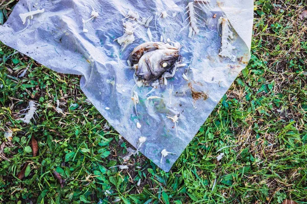 Σκουπίδια και υπολείμματα ενός σάπιου ψαριού πεταμένα στο δρόμο. — Φωτογραφία Αρχείου