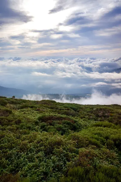 Kışın bir dağın tepesinden yalnızlık ta gün doğumu.