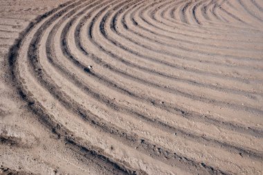 Va 'da bir Akdeniz bahçesinde pullu tarlalar ve çamurlu su.
