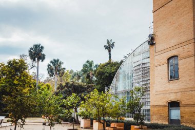 Valencia, Spain - January 18, 2020: Botanical garden of Valencia