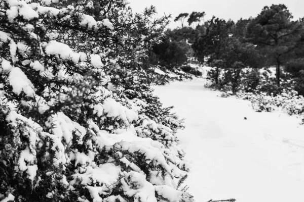 Χιονισμένο ορεινό μονοπάτι αποκλεισμένο για οχήματα. — Φωτογραφία Αρχείου