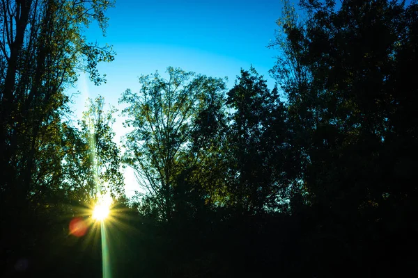 Solnedgång i parken en hösteftermiddag, sol bland träden. — Stockfoto