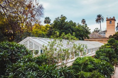 Valencia, Spain - January 18, 2020: Botanical garden of Valencia