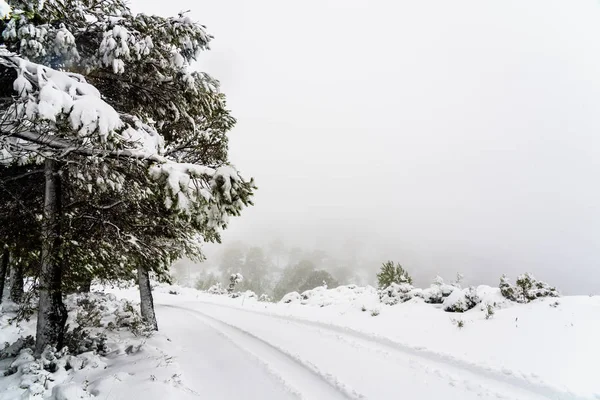 Сельская горная дорога полностью покрыта снегом, с автомобильными поездками — стоковое фото