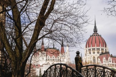 Parlamentonun ve Budapeşte 'nin diğer resmi binalarının manzaraları