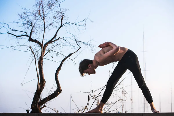 Genç Adam Yoga Açık Hava Hareketlerinden Esinlenerek Ortak Hareket Egzersizi — Stok fotoğraf