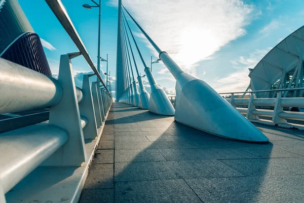 Valencie Španělsko Března 2020 Detail Nejvyššího Lanového Mostu Valencii Postaveného — Stock fotografie