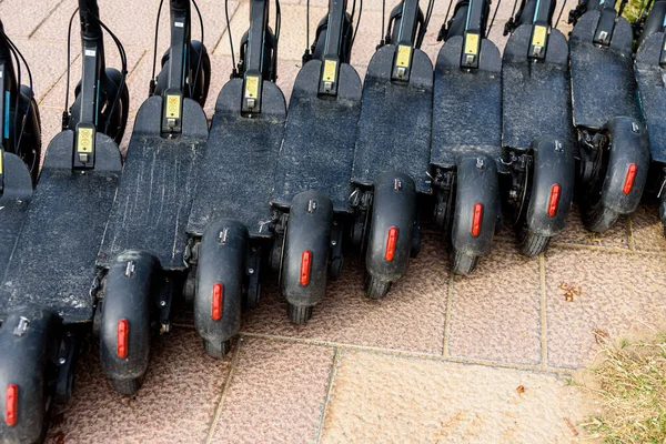 Diverse Zwarte Elektrische Scooters Geparkeerd Een Rij Huur — Stockfoto