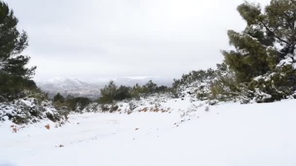 西班牙瓦伦西亚山区农村地区冬季暴风雪中的大雪 — 图库视频影像