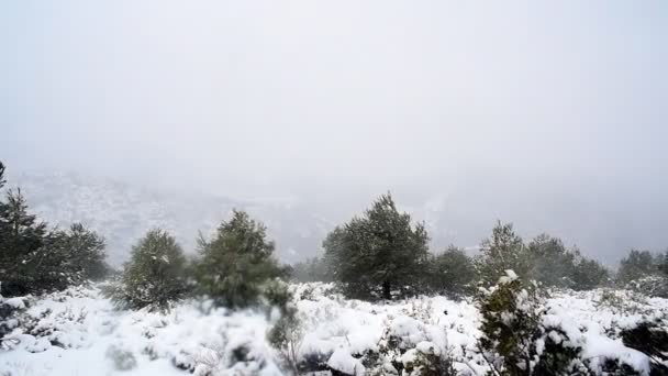 Grandes Chutes Neige Lors Une Tempête Hivernale Dans Une Scène — Video