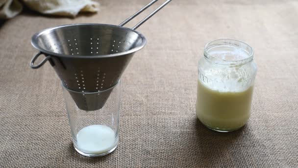 Homemade Preparation Milk Kefir Separating Granules Strainer Prepare Natural Yogurt — Stock Video