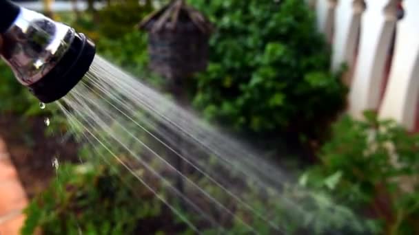 ホース噴出水で庭に水をやる男のクローズアップ — ストック動画