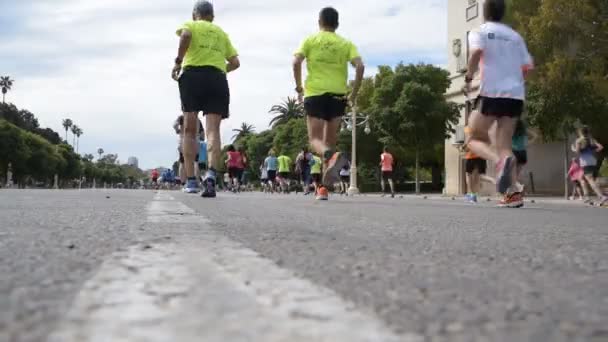 Valencia Spanyolország Május 2019 Group Runners Amateur Competition Racing Have — Stock videók