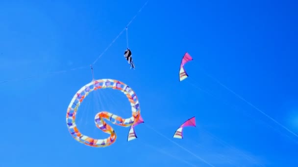 Группа Воздушных Змеев Забавных Форм Летающих Вращающихся Небе — стоковое видео