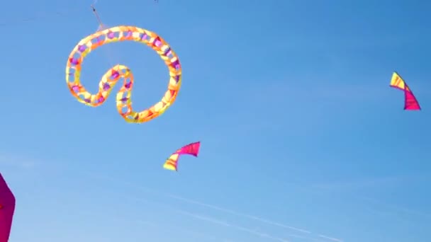 Group Stunt Kites Funny Shapes Flying Spinning Sky — Stock Video