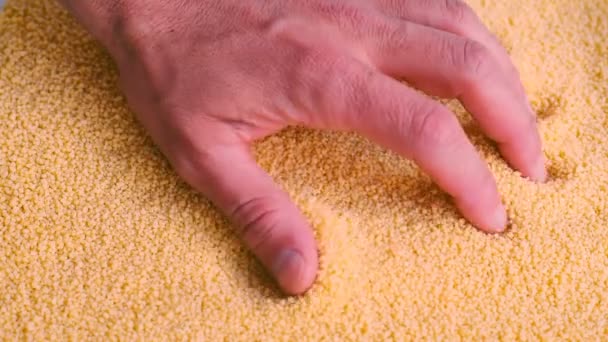 Зерно Пшеницы Дурум Манная Арабский Кускус Падает Тарелку Приготовить Традиционное — стоковое видео