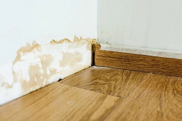 Skirting Board Een Muur Beschadigd Door Schimmel — Stockfoto