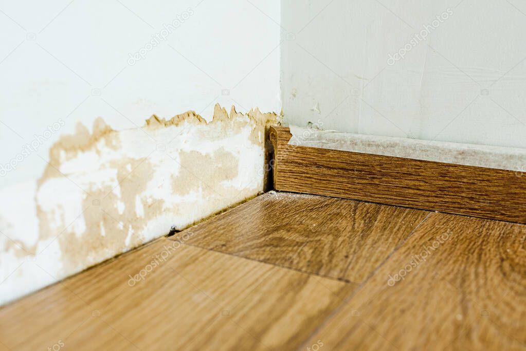 Skirting board on a wall damaged by mold.