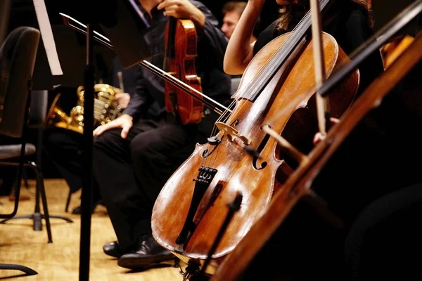 Musicien Pose Son Violoncelle Sur Scène Entouré Par Reste Orchestre — Photo