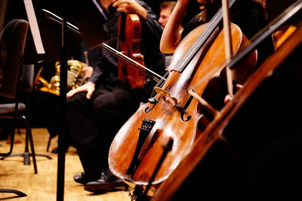 Músico Descansa Seu Violoncelo Palco Cercado Pelo Resto Orquestra Sinfônica Fotos De Bancos De Imagens