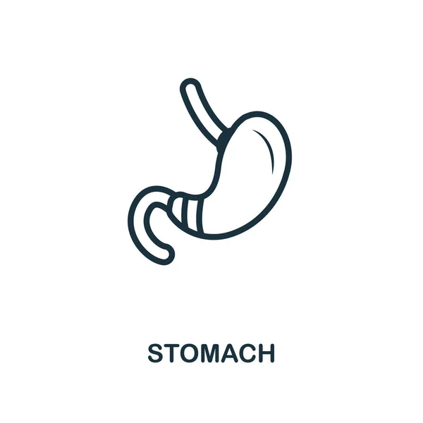 Estilo de contorno de icono de estómago. Línea delgada creativa Icono de estómago para logo, diseño gráfico y más — Vector de stock