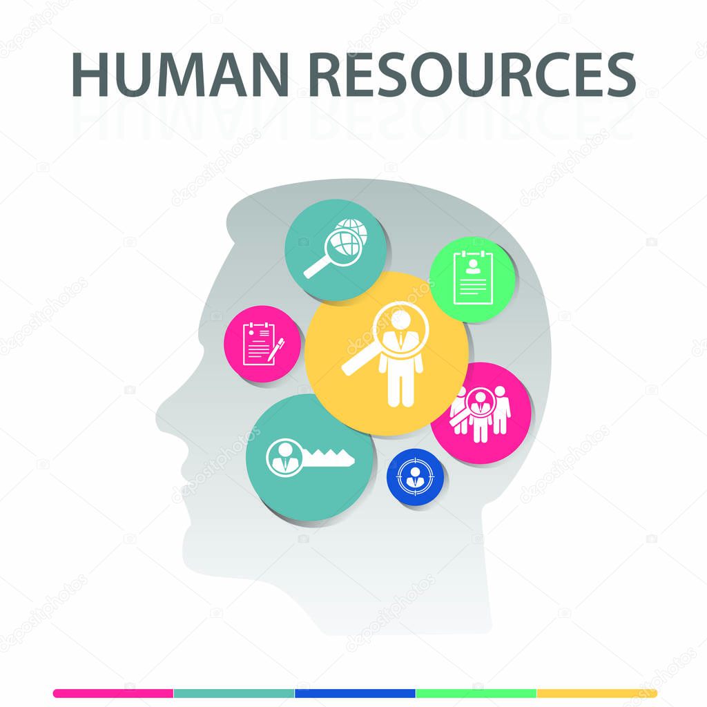 Human Resources Infographics design. Timeline concept include searching, resume, global search icons. Can be used for report, presentation, diagram, web design