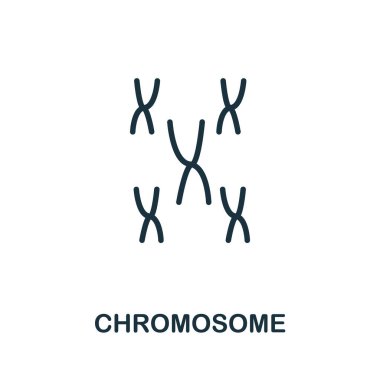 Kromozom ikonu. Biyoteknoloji simgeleri koleksiyonundan basit bir satır ögesi. Şablonlar, yazılımlar ve bilgi grafikleri için ana kromozom simgesi.
